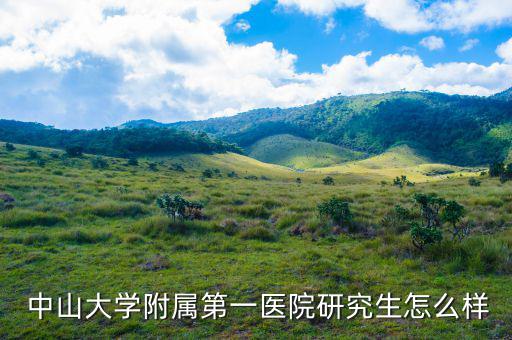 中山一院大?房怎么樣,中山大學第一附屬醫(yī)院廣州分院