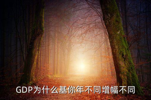 GDP為什么基你年不同增幅不同