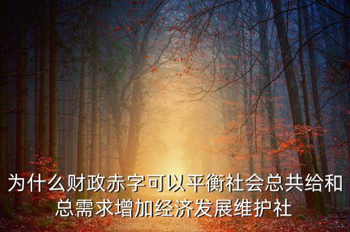 為什么財政赤字可以平衡社會總共給和總需求增加經(jīng)濟發(fā)展維護社