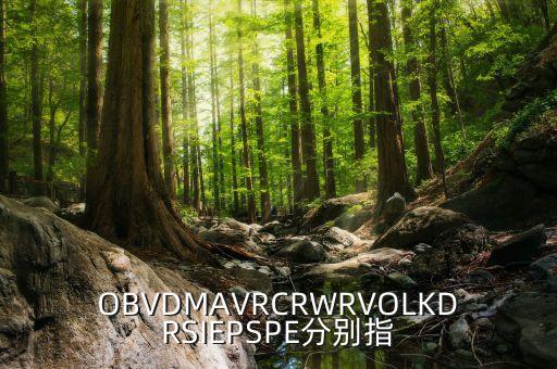 OBVDMAVRCRWRVOLKDRSIEPSPE分別指