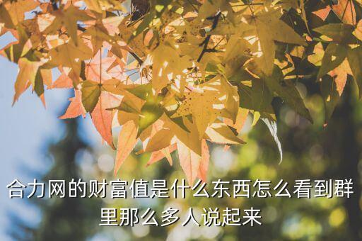 合力網(wǎng)的財(cái)富值是什么東西怎么看到群里那么多人說起來