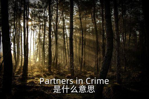 人工角膜是什么，Partners in Crime是什么意思