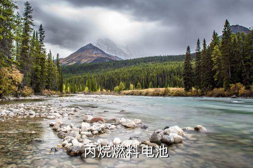 丙烷燃料電池