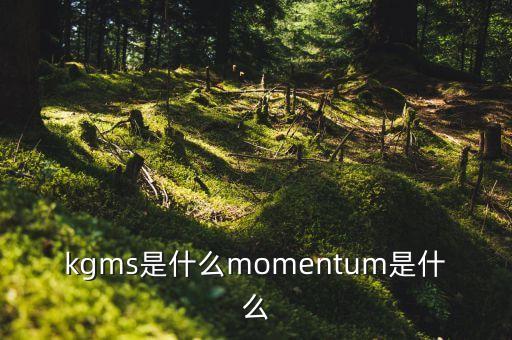 kgms是什么momentum是什么