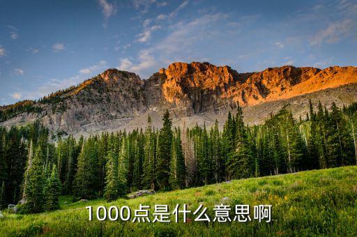 1000點(diǎn)是什么意思啊