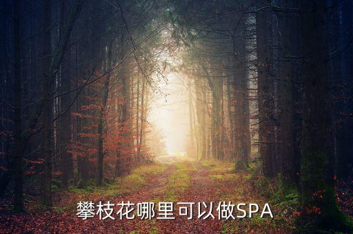 雅化集團(tuán)攀枝花恒泰做什么的，攀枝花哪里可以做SPA