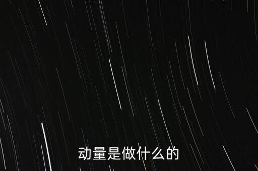 動(dòng)量是做什么的