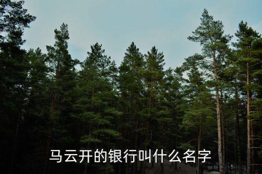 馬云開(kāi)的銀行叫什么名字