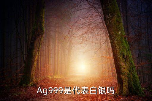 什么白銀，Ag999是代表白銀嗎