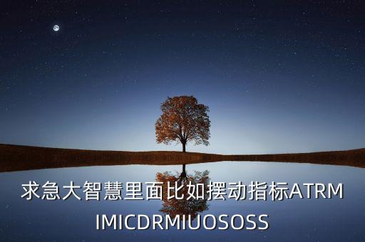 求急大智慧里面比如擺動(dòng)指標(biāo)ATRMIMICDRMIUOSOSS