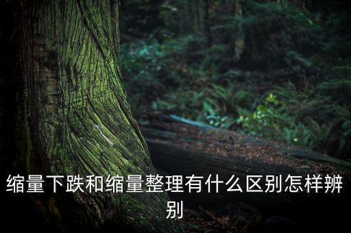 縮量下跌和縮量整理有什么區(qū)別怎樣辨別