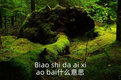 Biao shi da ai xiao bai什么意思