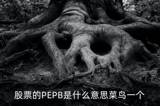 股票的PEPB是什么意思菜鳥一個(gè)