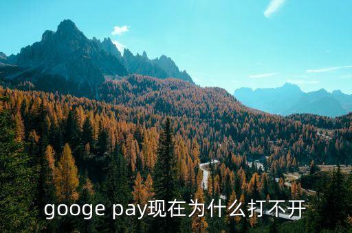 中國為什么不也把微軟給禁了，googe pay現(xiàn)在為什么打不開