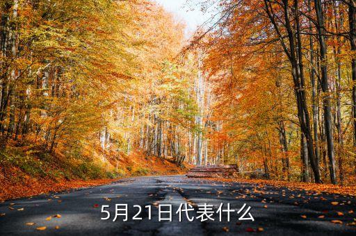 5月21日是什么意思，5月21日代表什么