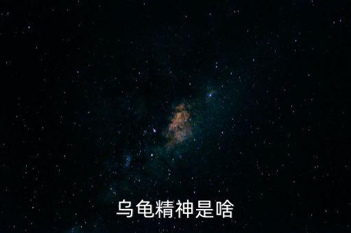 烏龜精神是啥