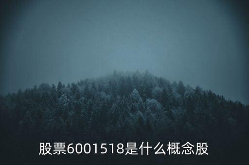 股票6001518是什么概念股