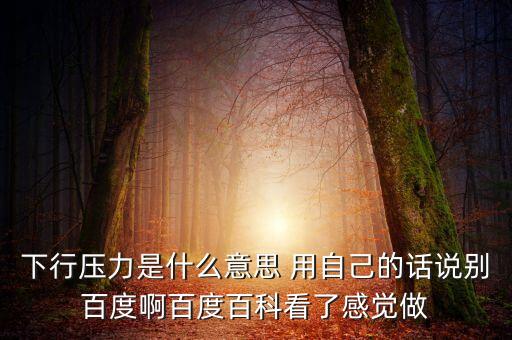 什么是下行壓力，應(yīng)對經(jīng)濟(jì)下行壓力還有哪些策略