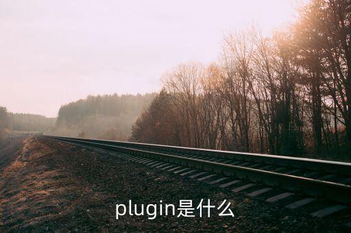 plugin是什么