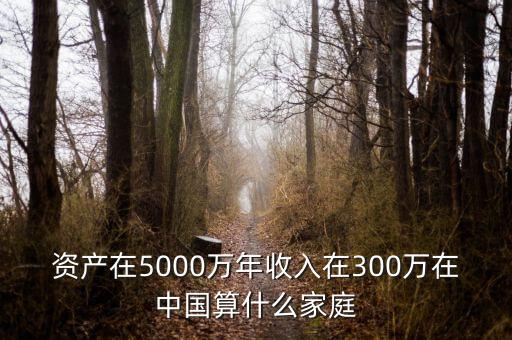 年賺300萬什么水平，初中畢業(yè)年收入300萬算什么水平