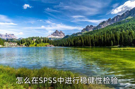 怎么在SPSS中進(jìn)行穩(wěn)健性檢驗(yàn)