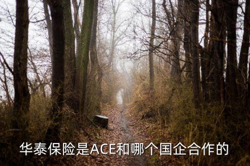 華泰保險是ACE和哪個國企合作的