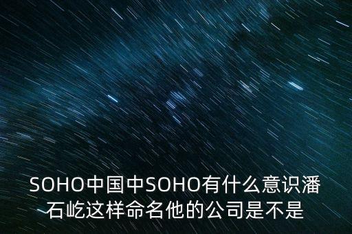 soho東海廣場52樓是什么公司，SOHO中國中SOHO有什么意識潘石屹這樣命名他的公司是不是