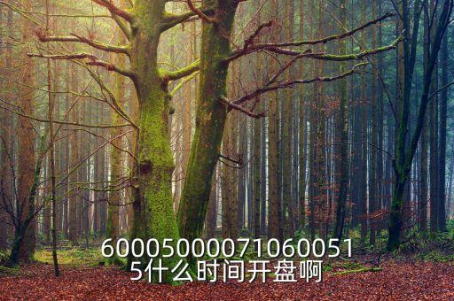 600050000710600515什么時間開盤啊