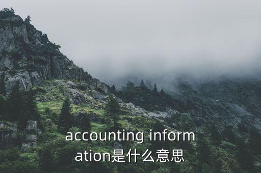 accounting information是什么意思