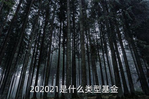 202021是什么類型基金