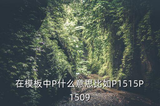 在模板中P什么意思比如P1515P1509