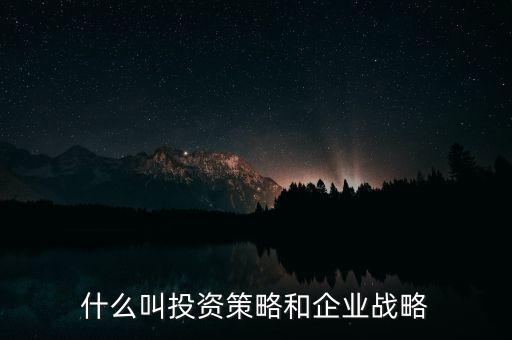 什么是投資戰(zhàn)略，什么叫投資戰(zhàn)