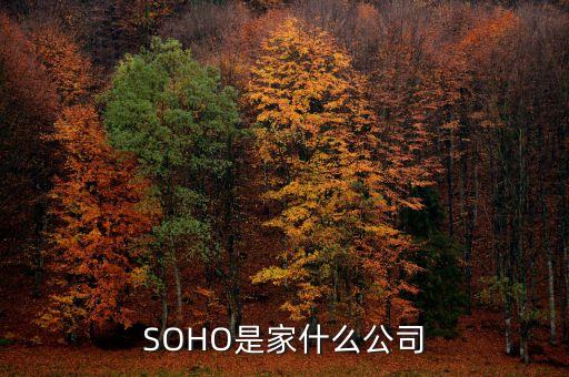 SOHO是家什么公司