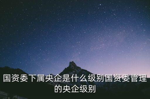 央企局級是什么級別，國企現(xiàn)在的行政級別是怎么劃分的謝謝