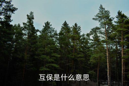 煤電互保什么意思，煤炭漲價對電力股是好是壞啊