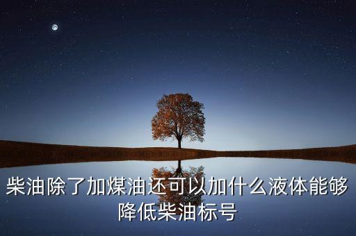 國二柴油車加什么能降低排放，柴油除了加煤油還可以加什么液體能夠降低柴油標(biāo)號