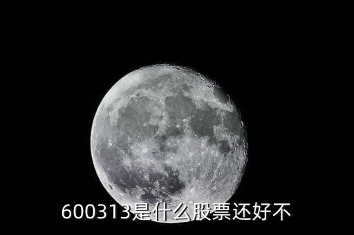 600313是什么股票還好不