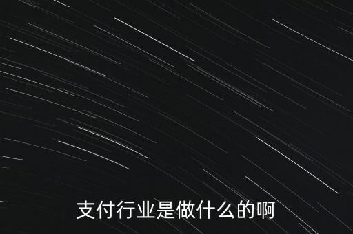 什么是支付行業(yè)，支付行業(yè)是做什么的啊