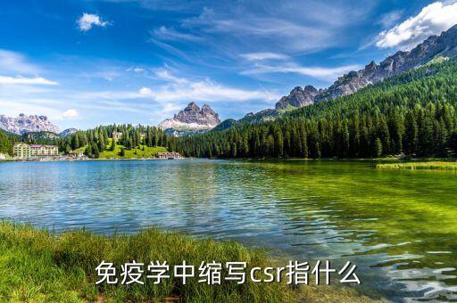 csr項目是什么，什么是CSR