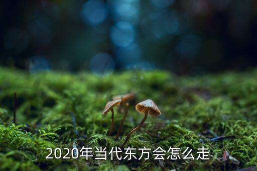 2020年當代東方會怎么走