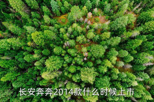 長安奔奔2014款什么時候上市