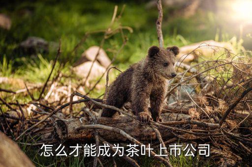 茶葉茶企為什么難上市，怎么才能成為茶葉上市公司