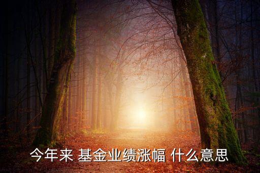 基金月漲幅是什么意思，今年來 基金業(yè)績漲幅 什么意思