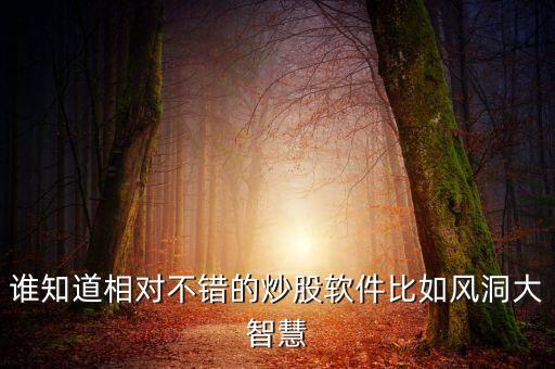 誰知道相對不錯的炒股軟件比如風(fēng)洞大智慧