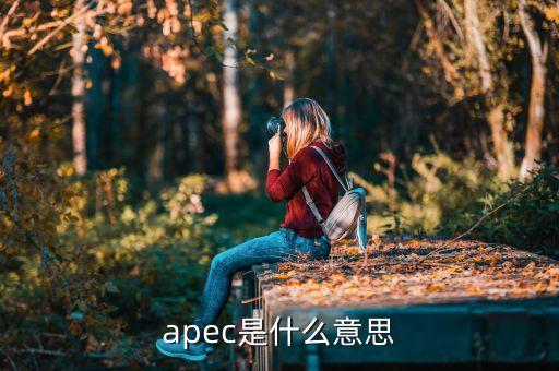 apec是什么意思