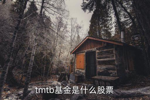 tmtb基金是什么股票