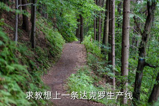 上海達(dá)克羅涂復(fù)工業(yè)有限公司做什么的，求教想上一條達(dá)克羅生產(chǎn)線