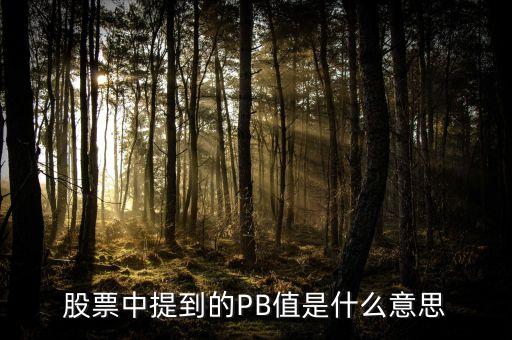 股票中提到的PB值是什么意思