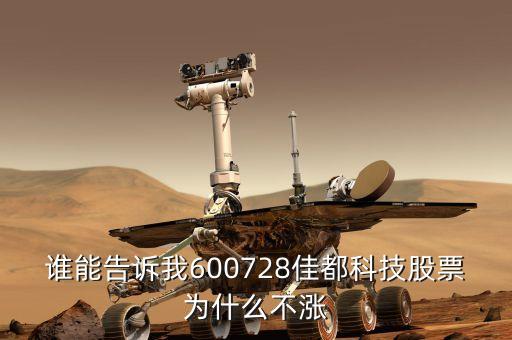 誰能告訴我600728佳都科技股票為什么不漲