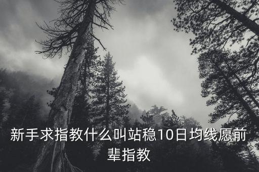 新手求指教什么叫站穩(wěn)10日均線愿前輩指教